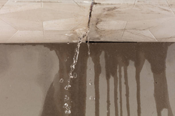 Professional Structural Drying technician working in Bastrop, TX
